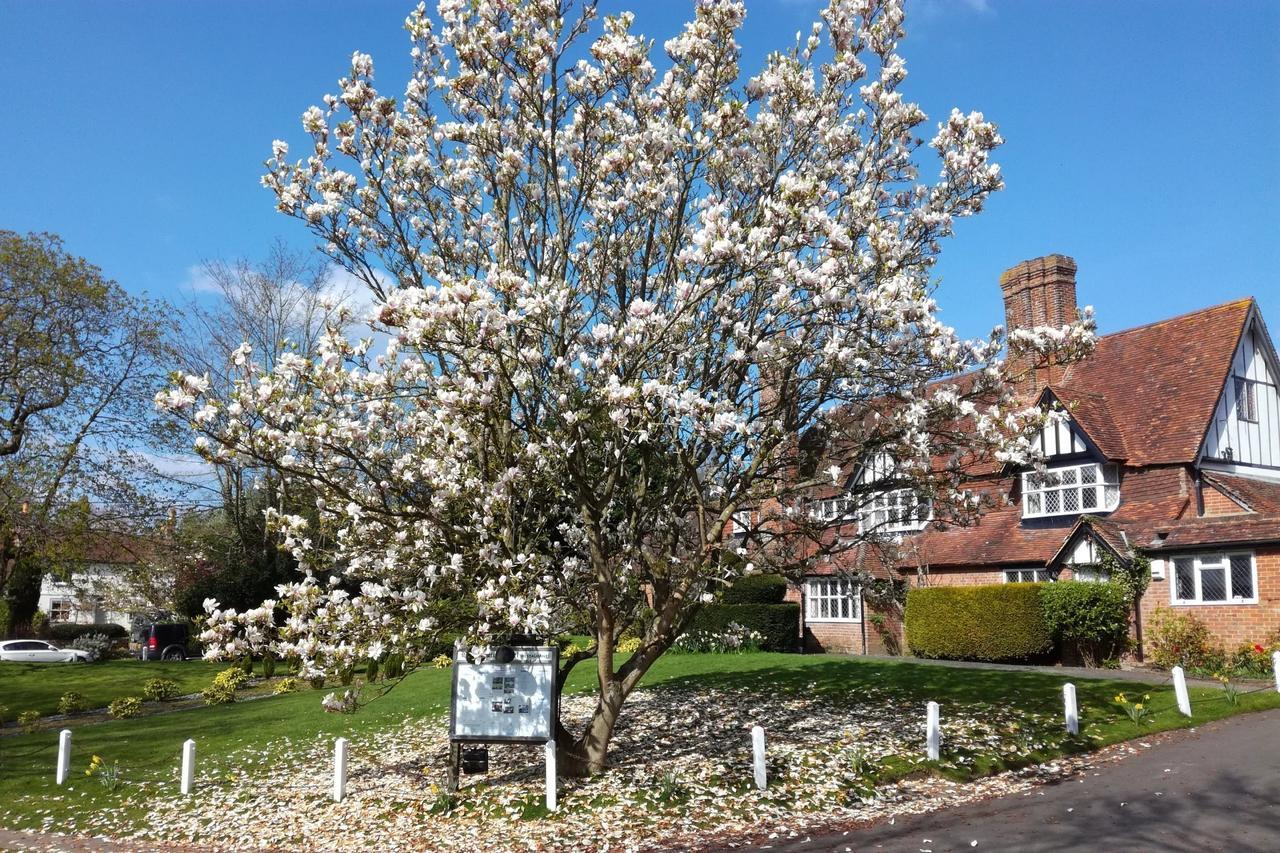 The Brickwall Hotel Sedlescombe ภายนอก รูปภาพ