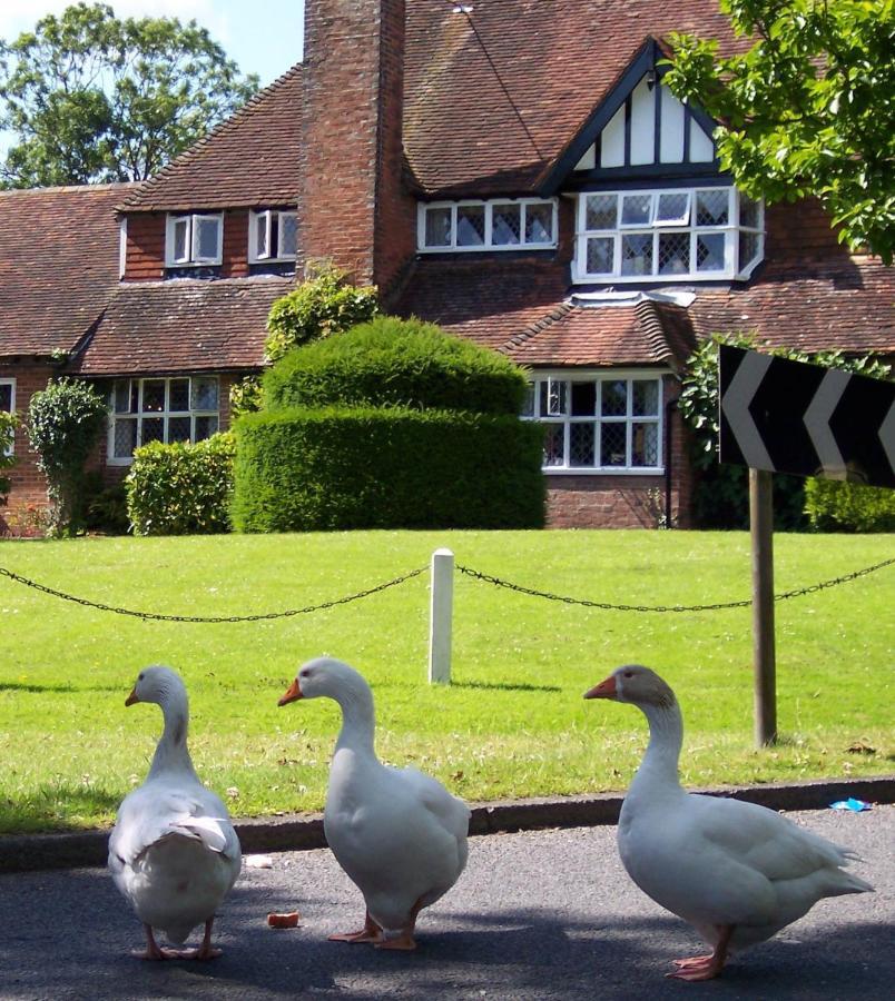 The Brickwall Hotel Sedlescombe ภายนอก รูปภาพ
